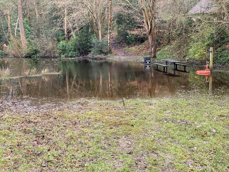 Pond rescue after flooding