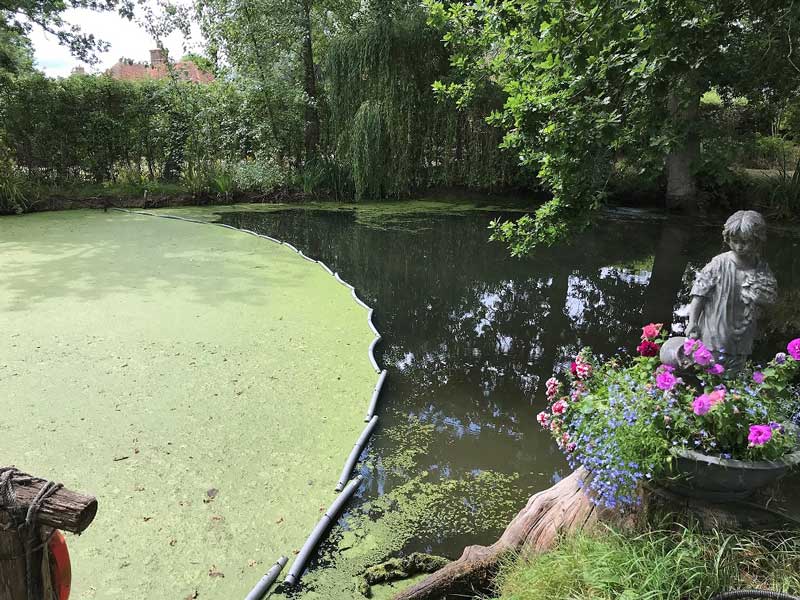 Pond maintenance advice