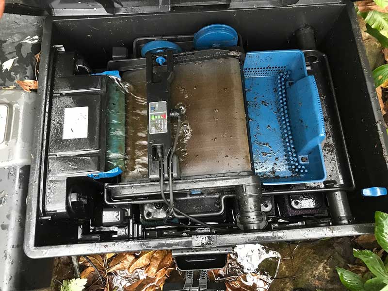 Pond filter and pump installation