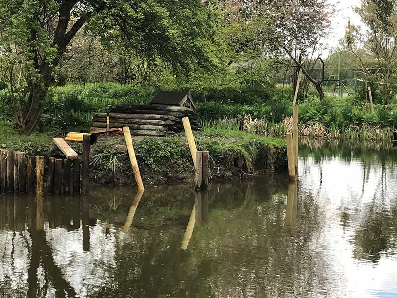 Pond maintenance and cleaning